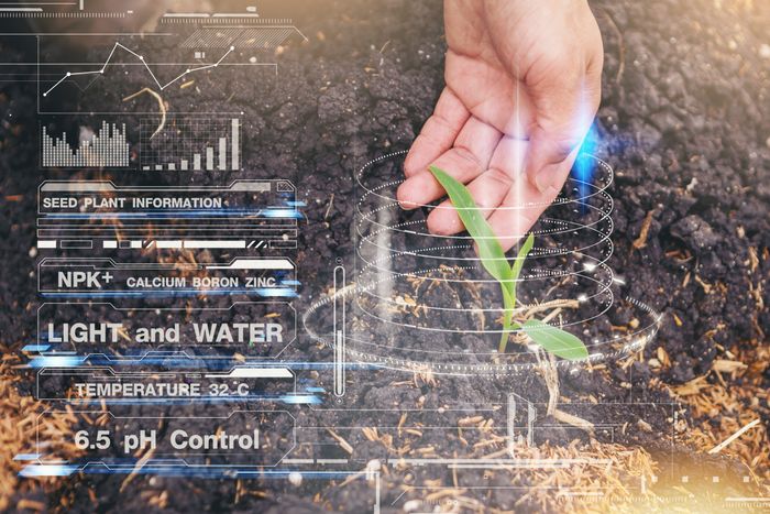 PgC/PgD/MSc Data Science for Global Agriculture, Food and Environment